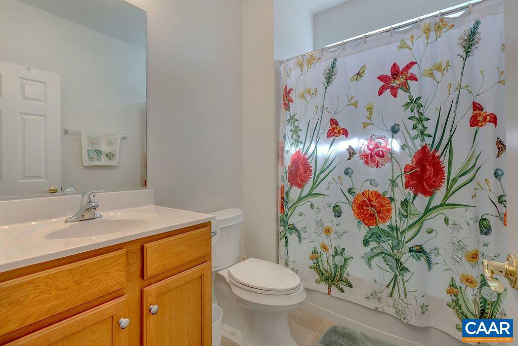 241 John Rucker Drive Ruckersville, VA 22968 - Photo 5 of 44 Gallery Image 5