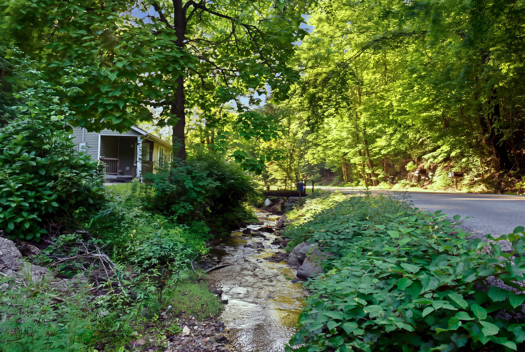 450 Nada Tunnel Road Stanton, KY 40380 - Photo 24 of 24 28_dsc03006_reedit_2509c6ed