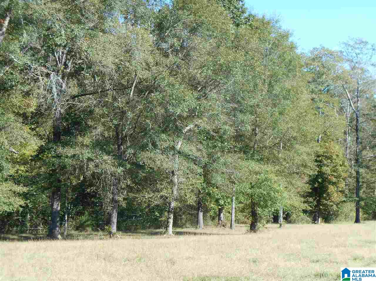 6429 County Road 39 Chelsea, AL 35043 - Photo 5 of 5