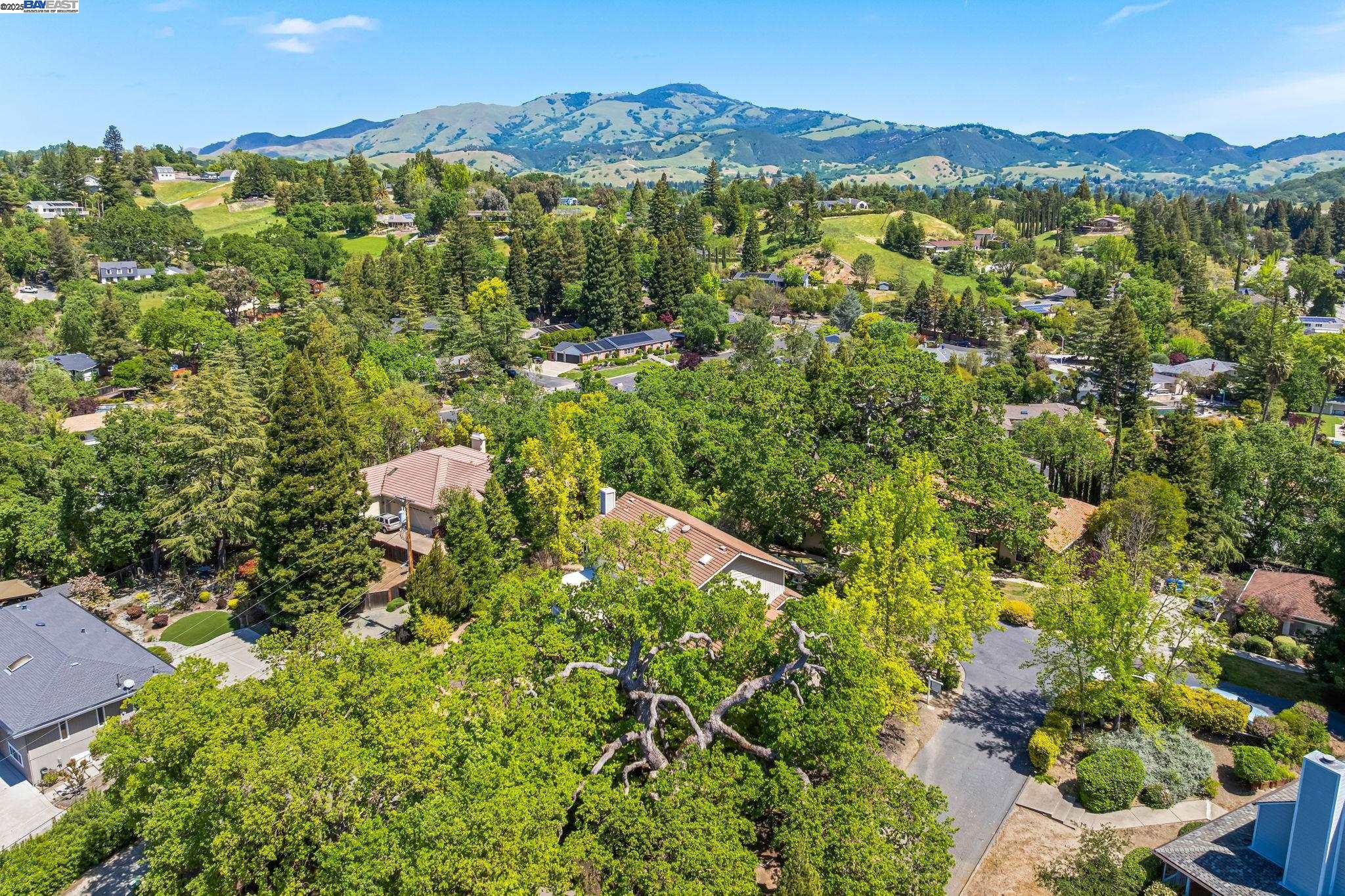 484 El Pintado Road Danville, CA 94526 - Photo 53 of 60 a view of a lush green hillside and houses