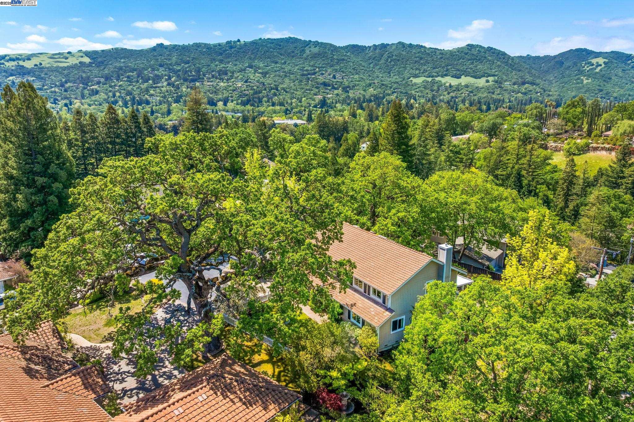 484 El Pintado Road Danville, CA 94526 - Photo 54 of 60