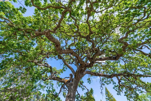 $1,999,888 | 484 El Pintado Road, Danville, CA 94526