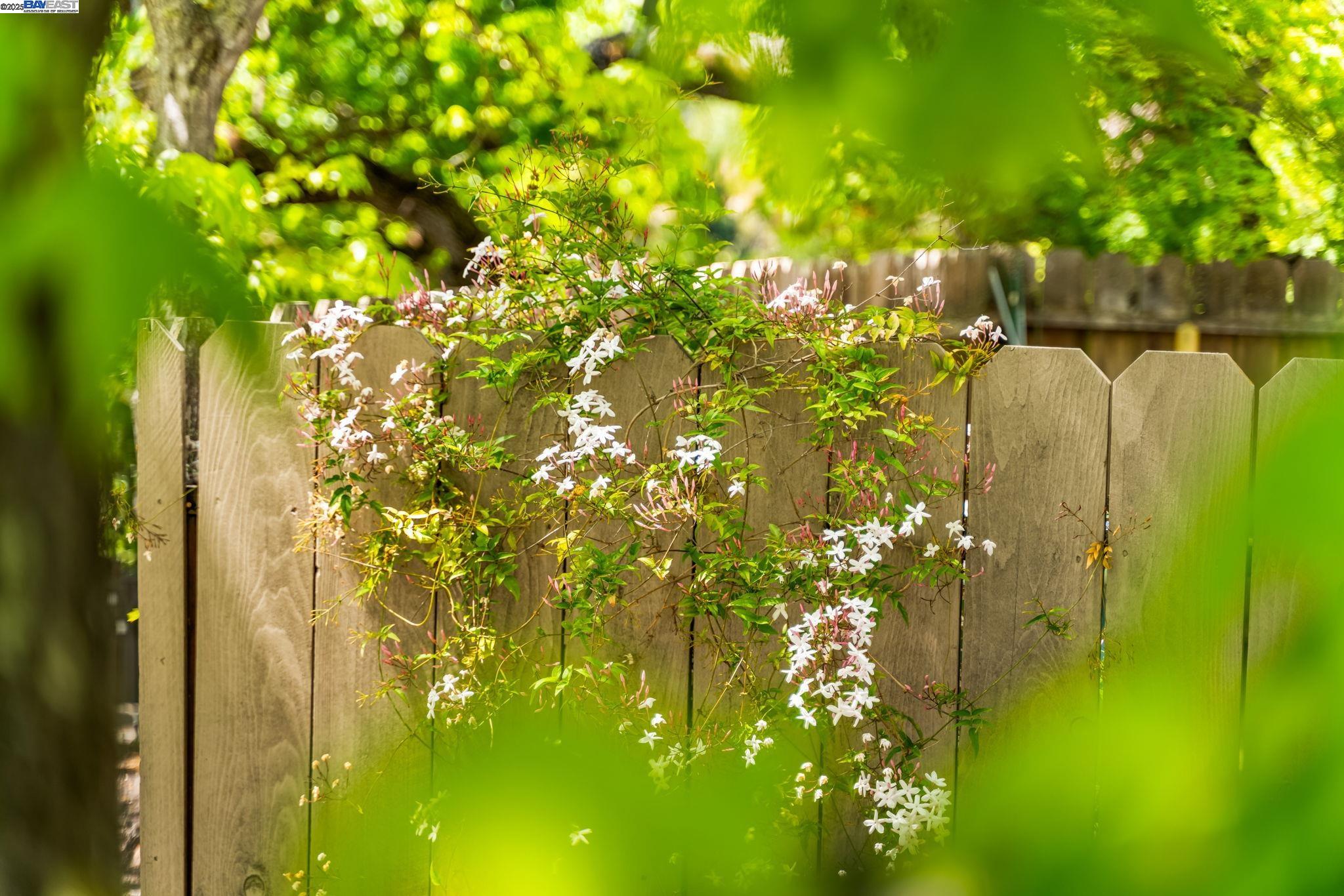 484 El Pintado Road Danville, CA 94526 - Photo 58 of 60