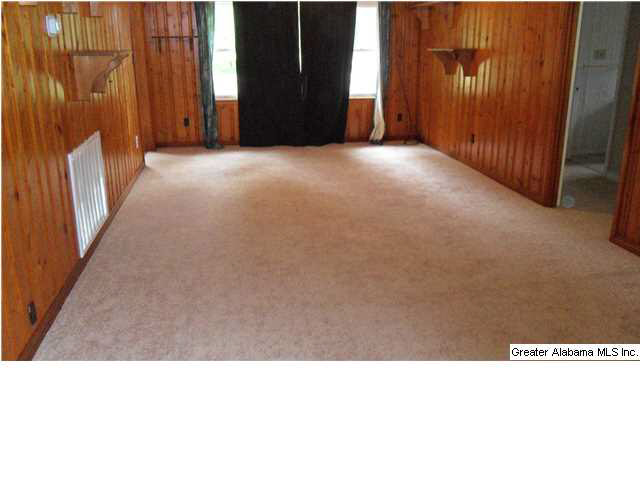 315 Mcgowan Road Wilsonville, AL 35186 - Photo 3 of 11