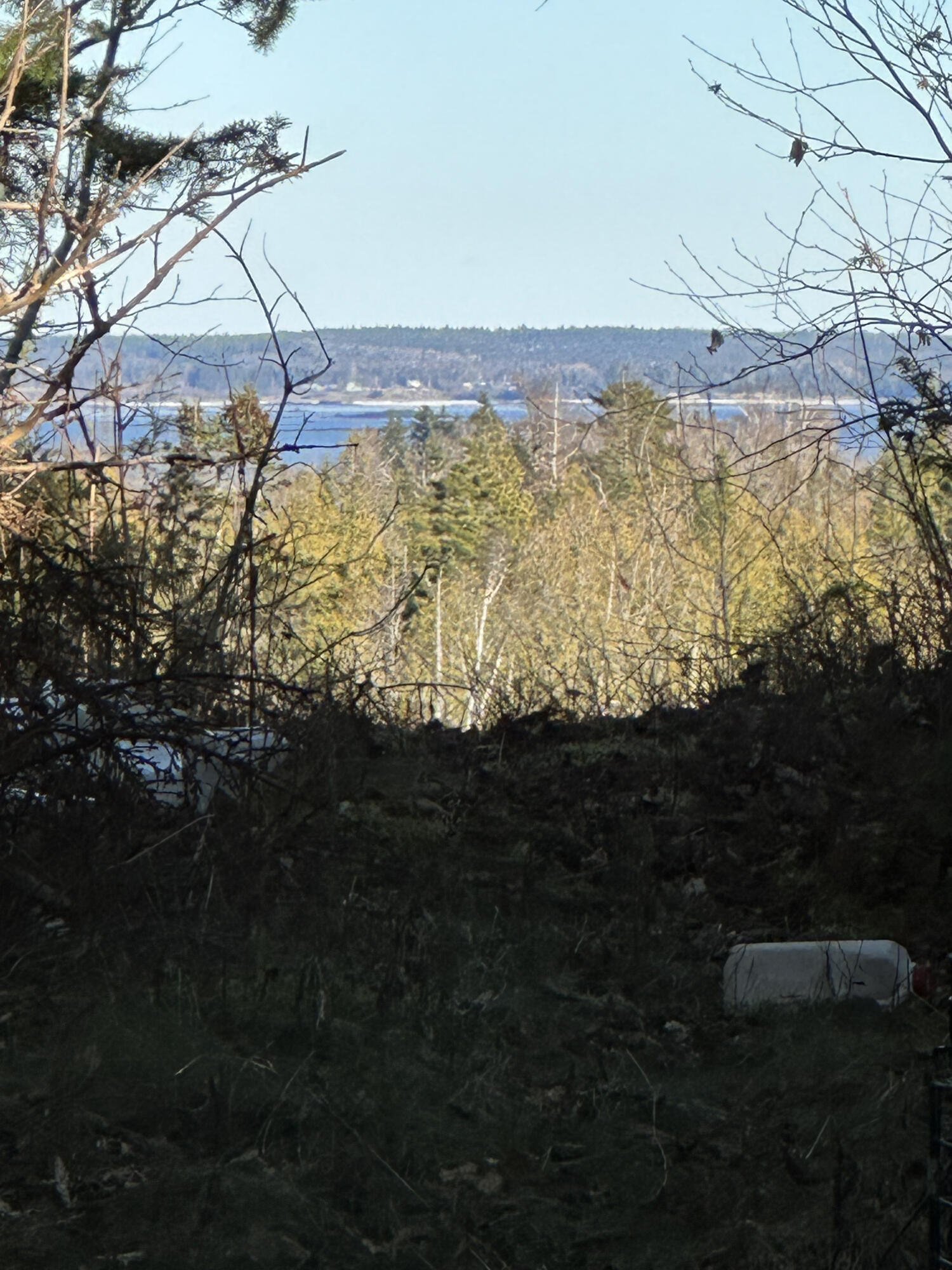 808 Port Road Machiasport, ME 04655 - Photo 3 of 43 Waterview