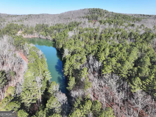 a view of a lake with a mountain in the background