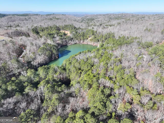 $199,900 | 15 Acres On E Hermitage Road, Kingston, GA 30145