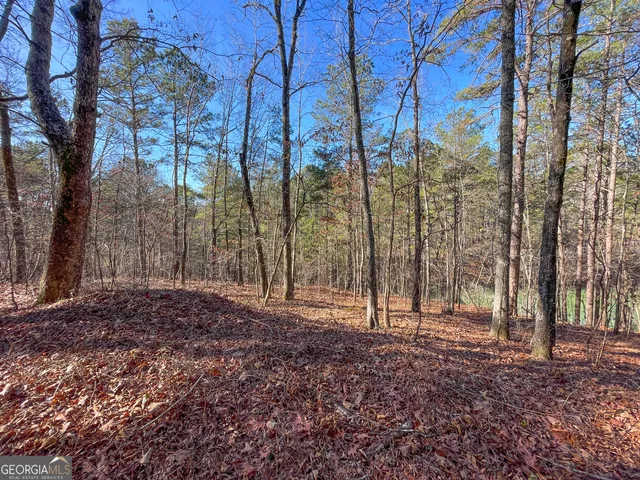 $199,900 | 15 Acres On E Hermitage Road, Kingston, GA 30145