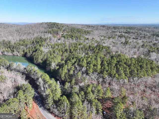 $199,900 | 15 Acres On E Hermitage Road, Kingston, GA 30145