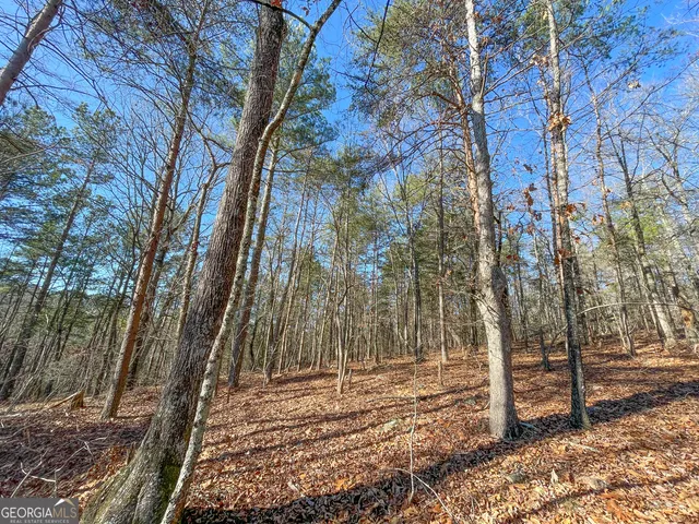 $199,900 | 15 Acres On E Hermitage Road, Kingston, GA 30145