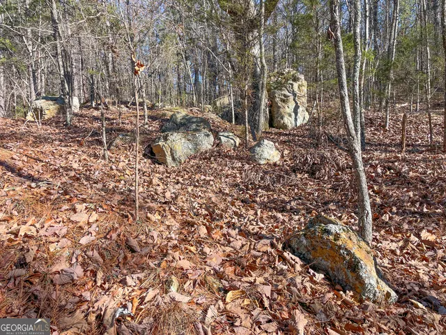 $199,900 | 15 Acres On E Hermitage Road, Kingston, GA 30145