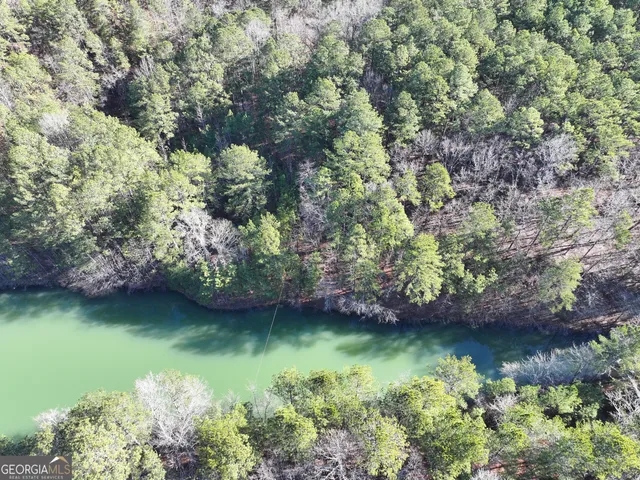 $199,900 | 15 Acres On E Hermitage Road, Kingston, GA 30145