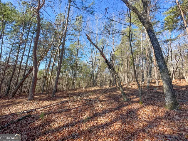 $199,900 | 15 Acres On E Hermitage Road, Kingston, GA 30145