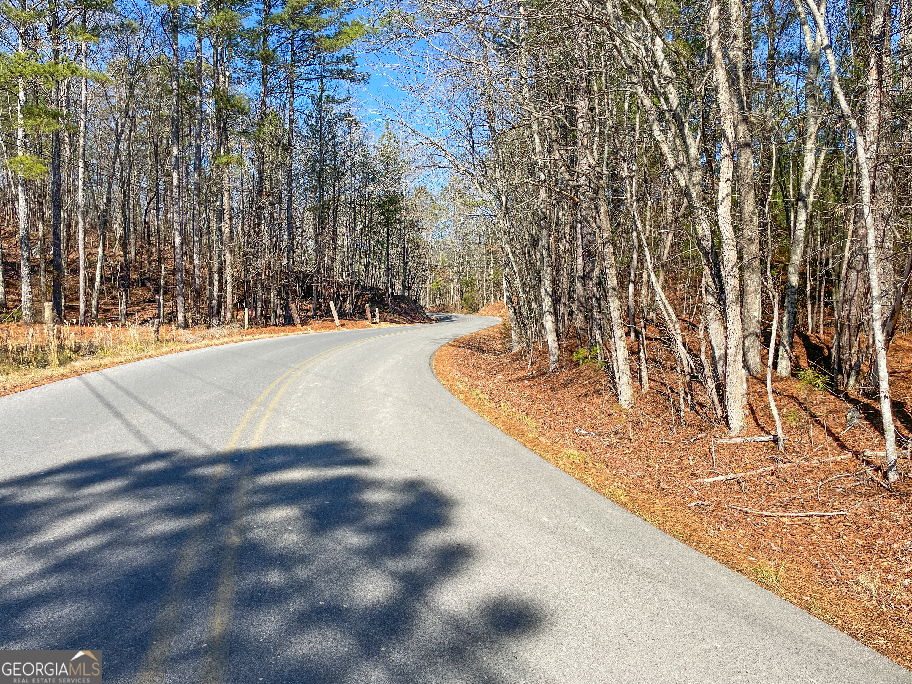 15 Acres On E Hermitage Road Kingston, GA 30145 - Photo 19 of 33