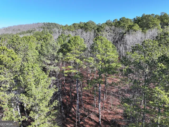 $199,900 | 15 Acres On E Hermitage Road, Kingston, GA 30145