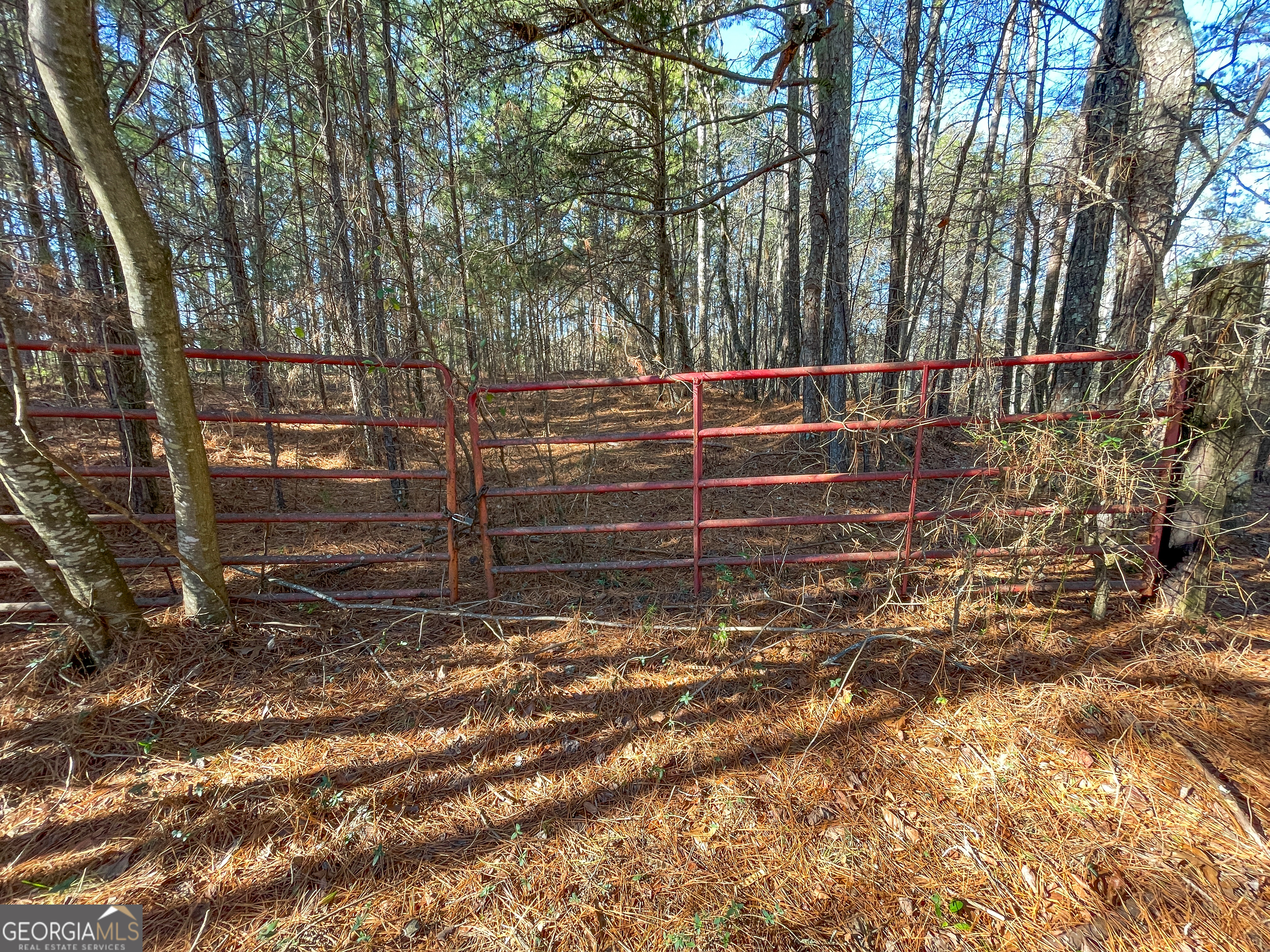 15 Acres On E Hermitage Road Kingston, GA 30145 - Photo 23 of 33