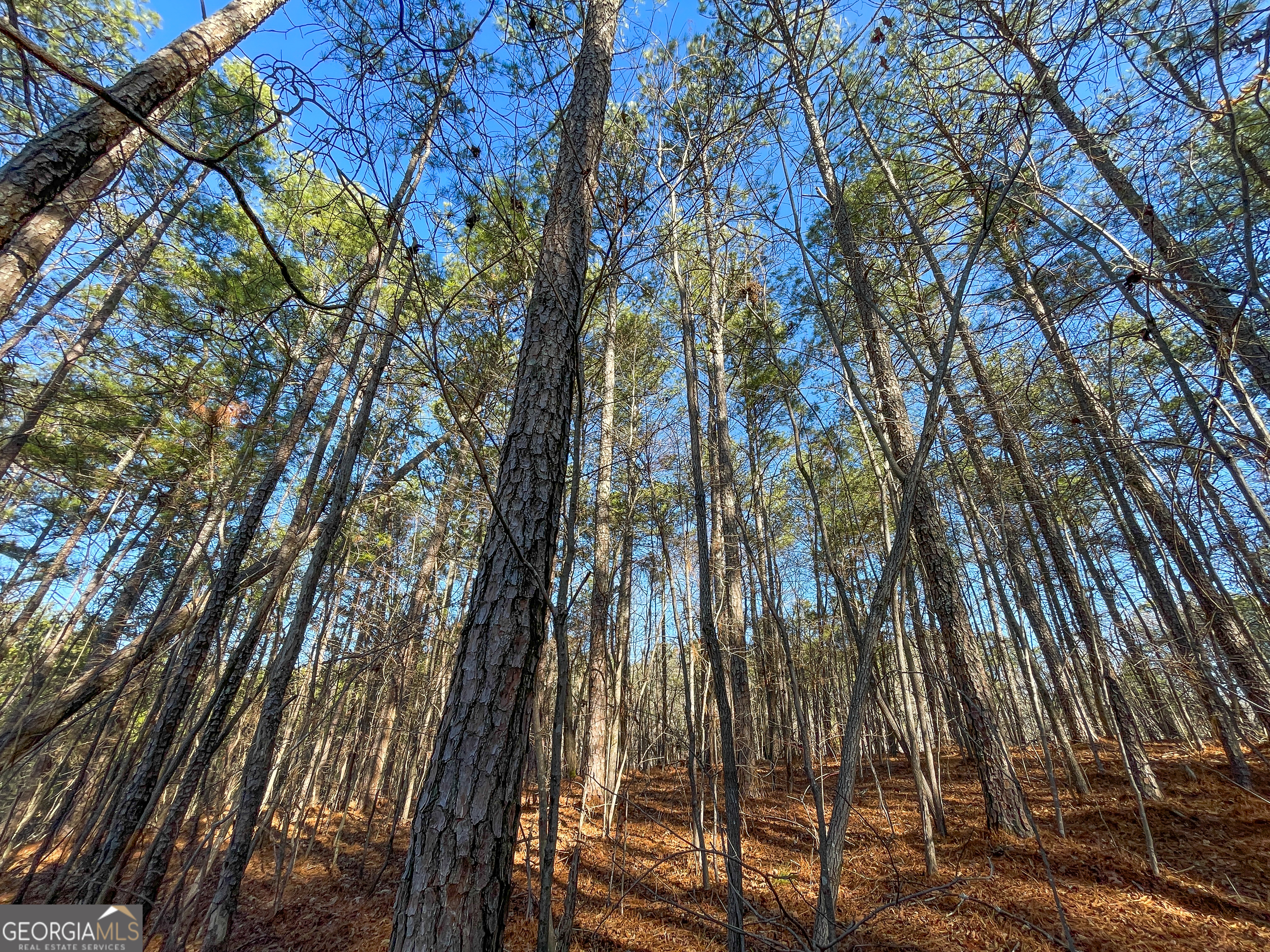 15 Acres On E Hermitage Road Kingston, GA 30145 - Photo 24 of 33
