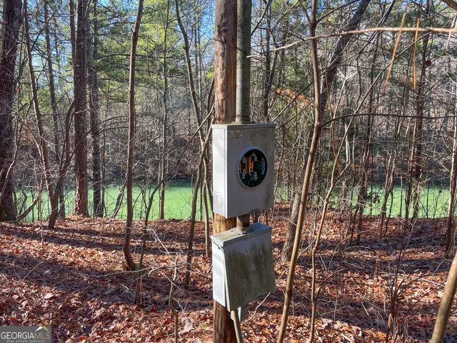 $199,900 | 15 Acres On E Hermitage Road, Kingston, GA 30145