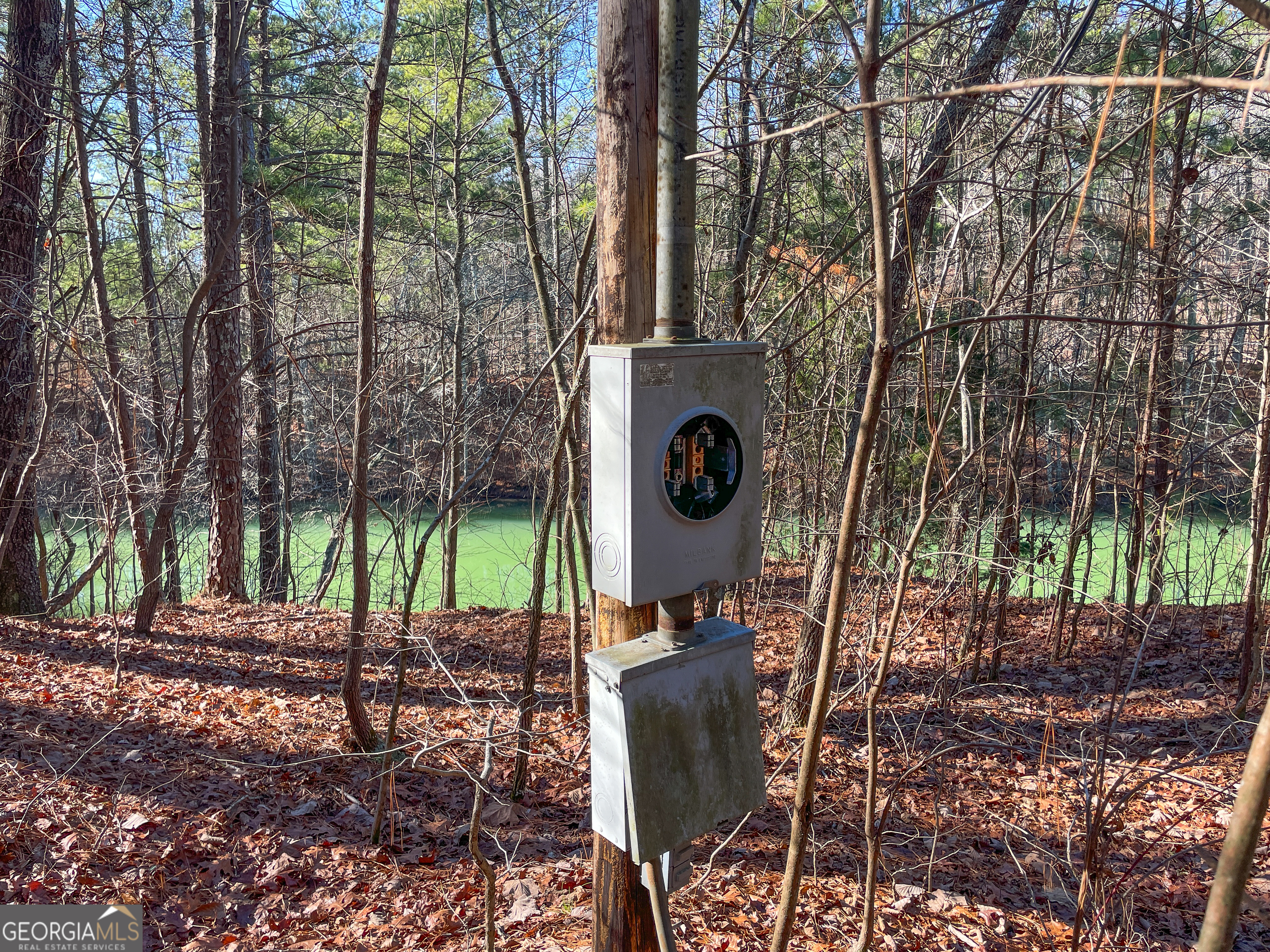15 Acres On E Hermitage Road Kingston, GA 30145 - Photo 26 of 33