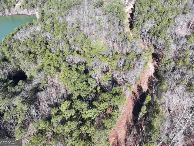 $199,900 | 15 Acres On E Hermitage Road, Kingston, GA 30145