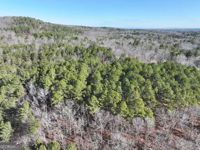 $199,900 | 15 Acres On E Hermitage Road, Kingston, GA 30145