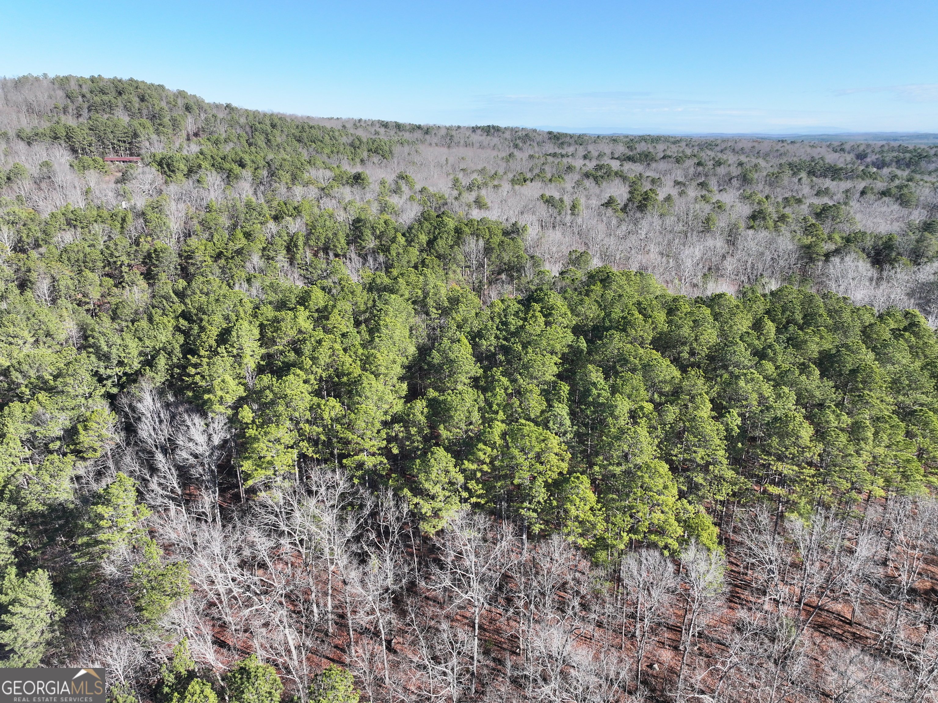 15 Acres On E Hermitage Road Kingston, GA 30145 - Photo 30 of 33