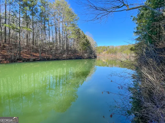 $199,900 | 15 Acres On E Hermitage Road, Kingston, GA 30145