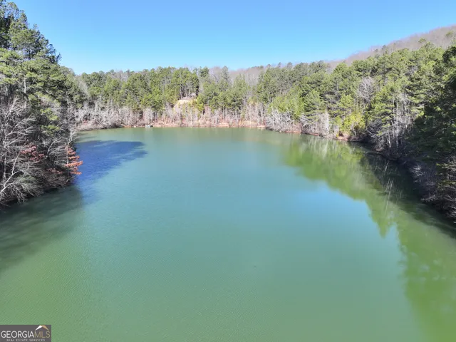 $199,900 | 15 Acres On E Hermitage Road, Kingston, GA 30145