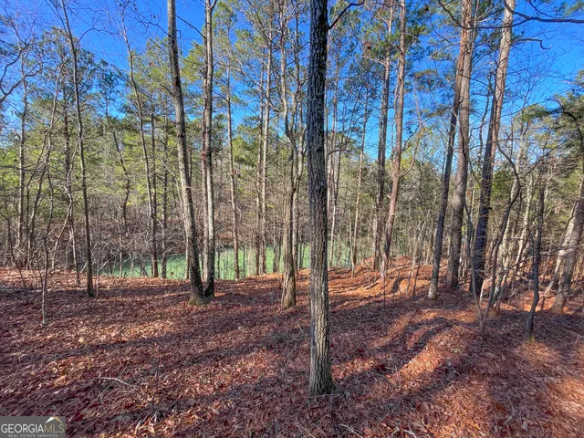 $199,900 | 15 Acres On E Hermitage Road, Kingston, GA 30145
