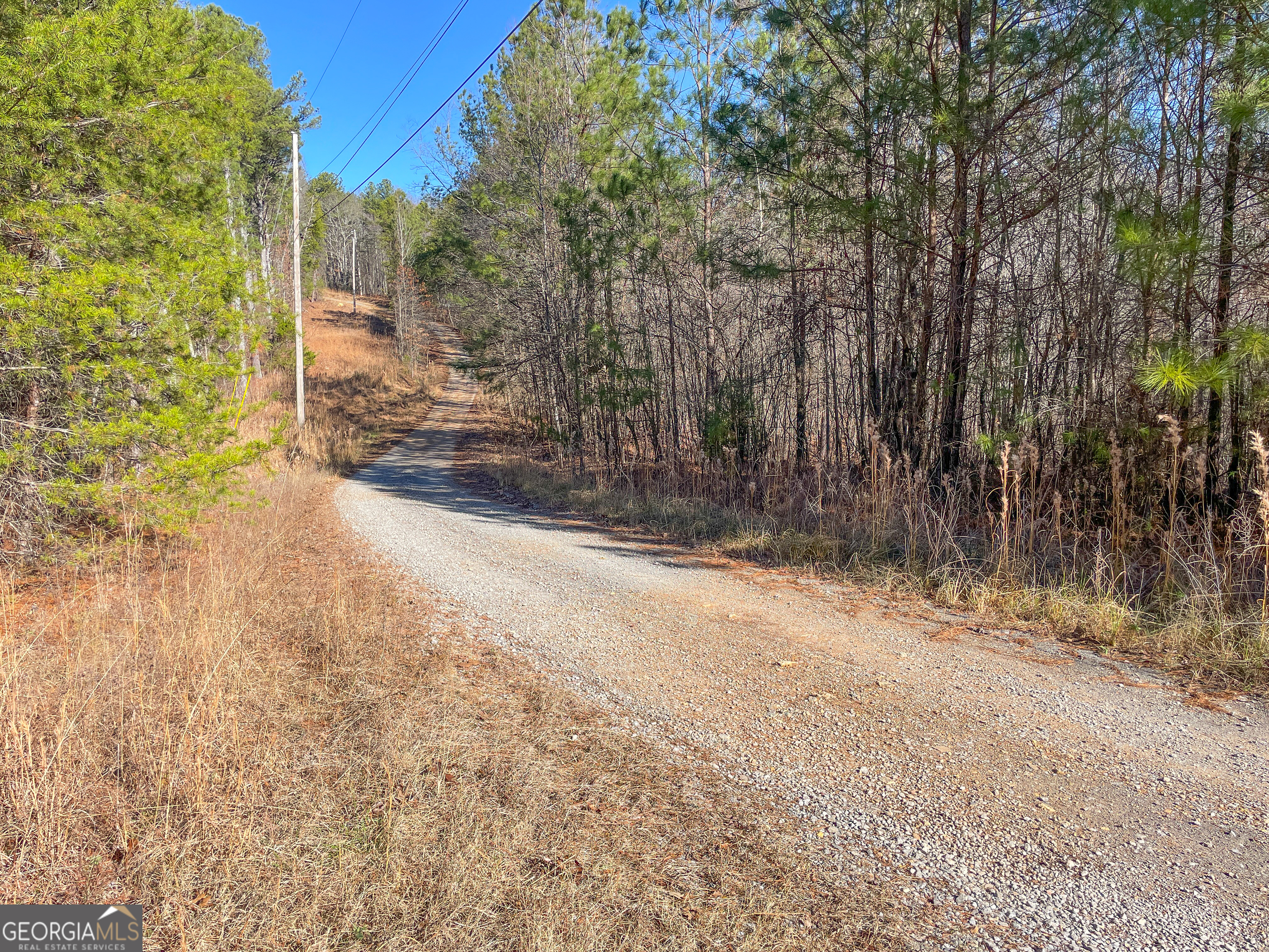15 Acres On E Hermitage Road Kingston, GA 30145 - Photo 10 of 33