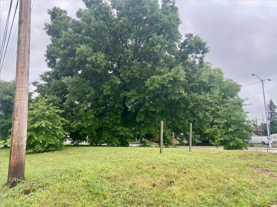 3072 1/2 Waverly Road Huntington, WV 25704 - Photo 2 of 4 Gallery Image 2
