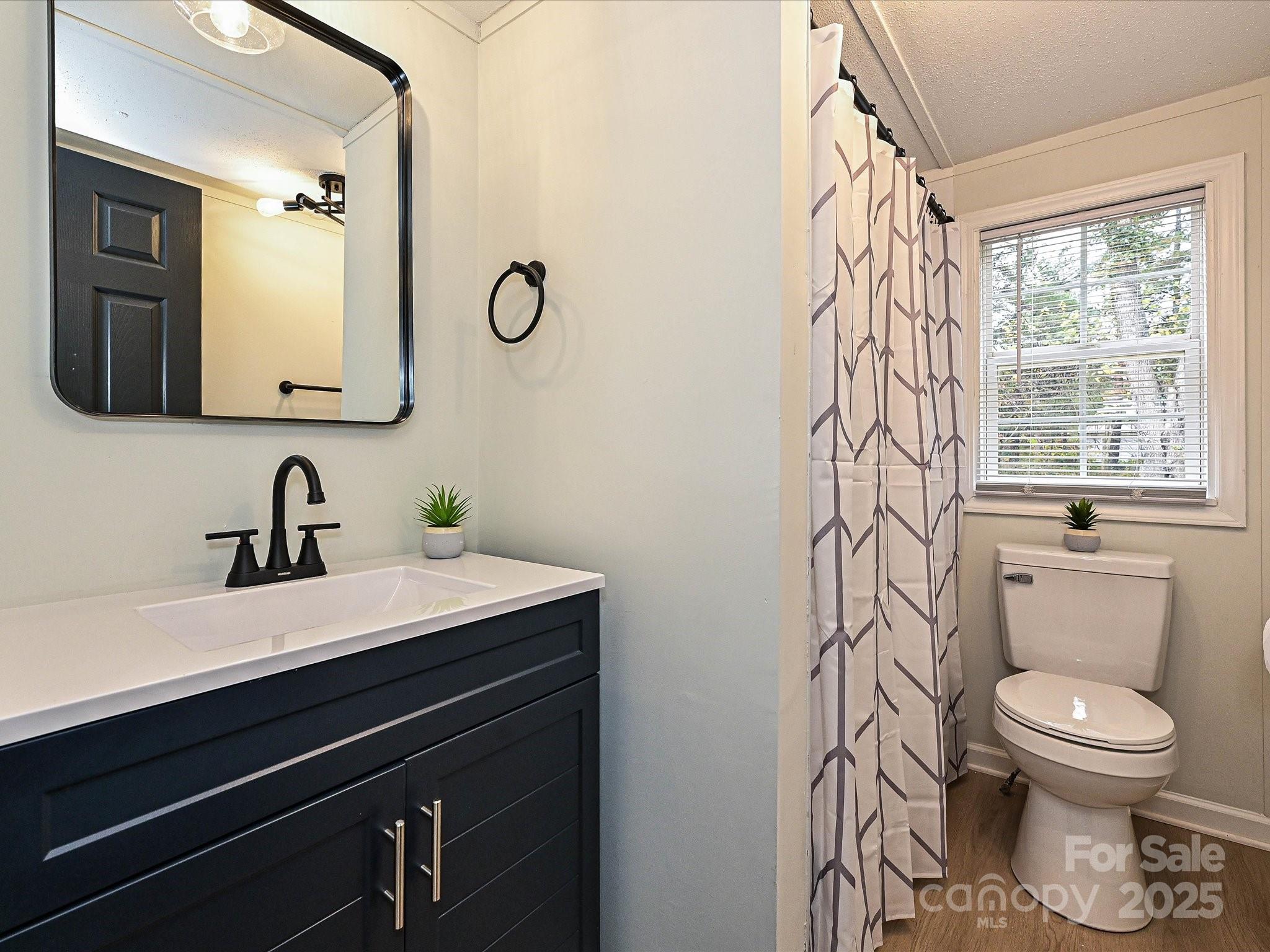 3318 Loop Road Lincolnton, NC 28092 - Photo 17 of 27 a bathroom with a toilet a sink a mirror a window and vanity