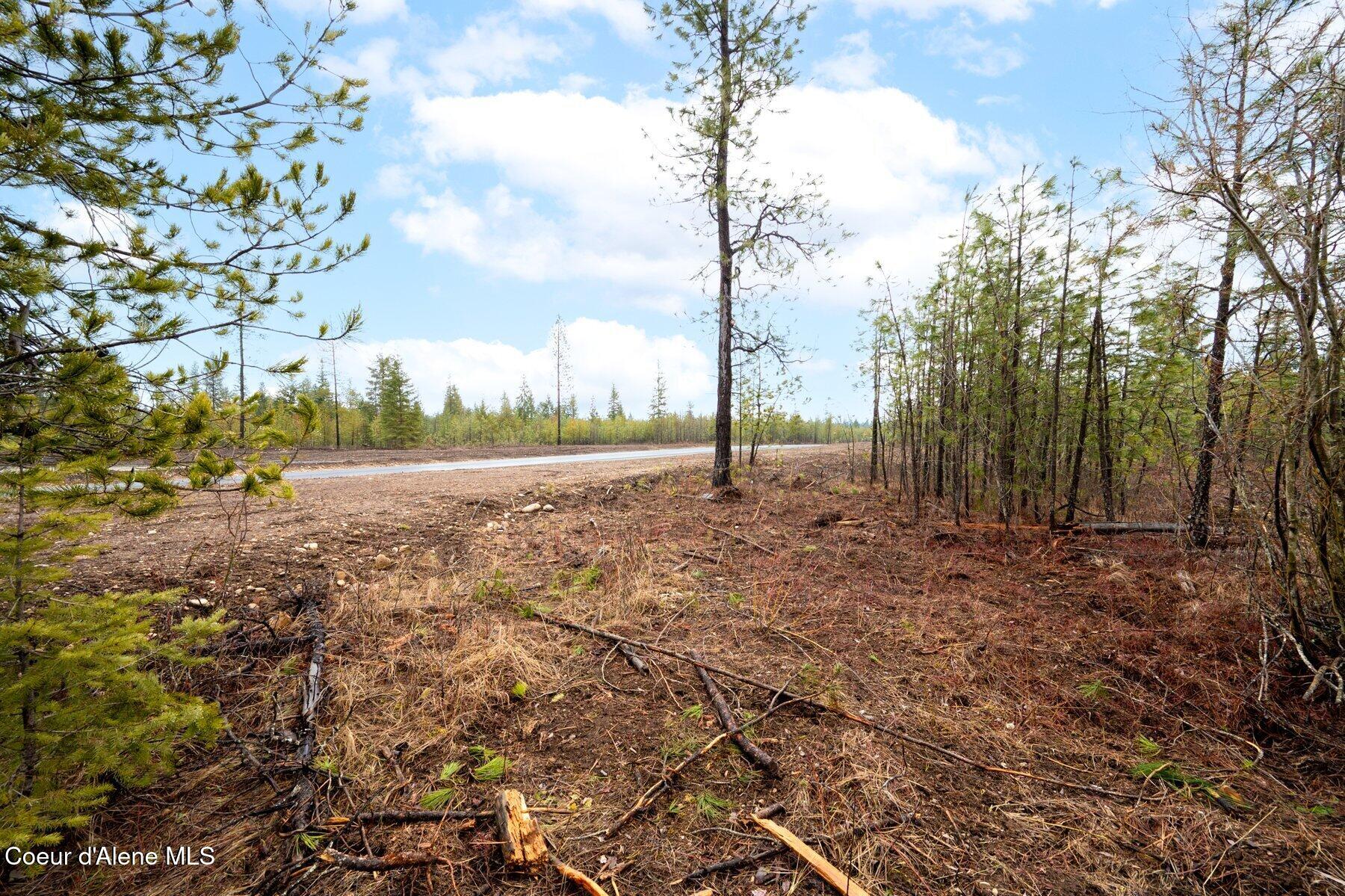 L4-b1 North Mountain View Road Rathdrum, ID 83858 - Photo 5 of 9 --6.jpg-SMALL