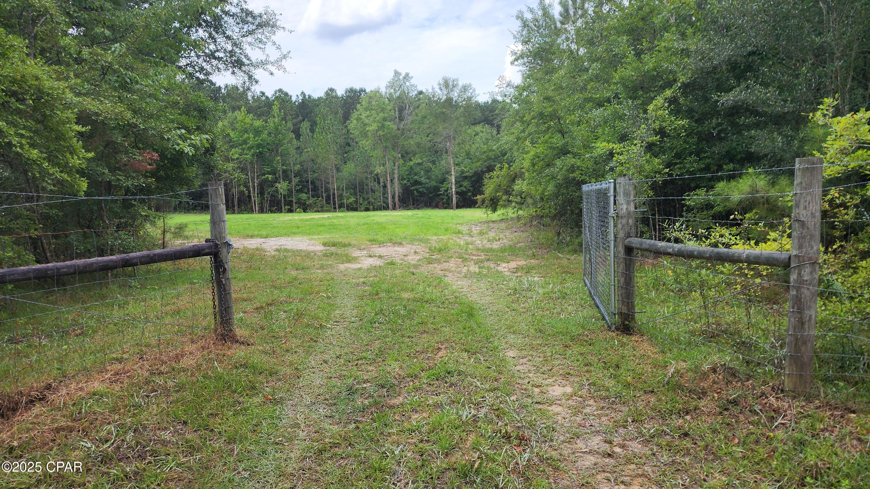 7617 Green Road Sneads, FL 32460 - Photo 2 of 20