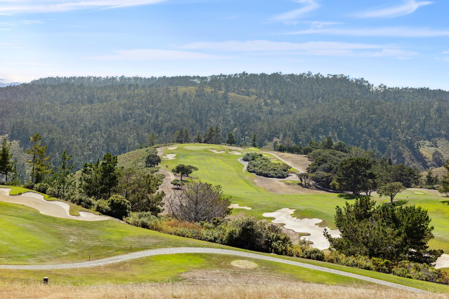 8350 Tres Paraiso (lot 73) Monterey, CA 93923 - Photo 13 of 24 a view of a swimming pool with a yard