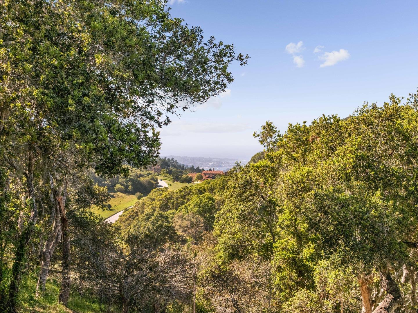 8350 Tres Paraiso (lot 73) Monterey, CA 93923 - Photo 5 of 24 a view of a tree with a yard
