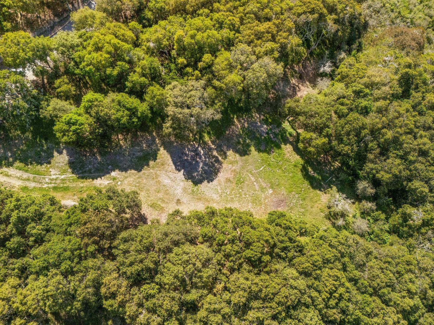 8350 Tres Paraiso (lot 73) Monterey, CA 93923 - Photo 9 of 24 a view of a yard with large trees