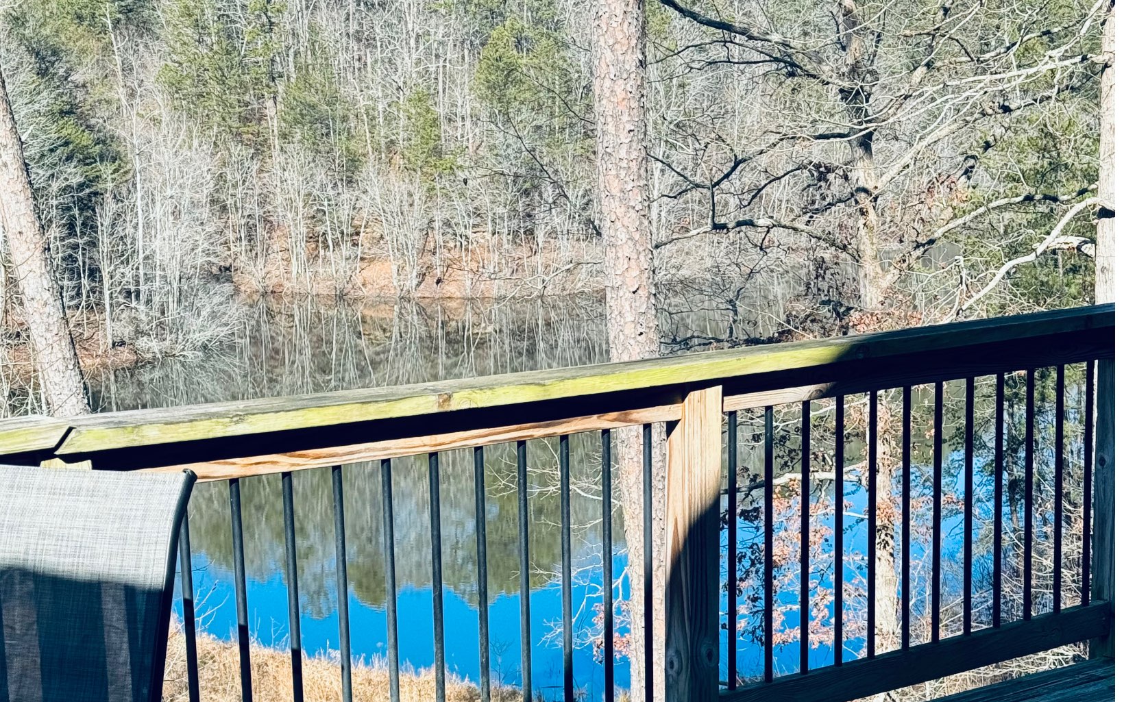 345 Oak Ridge Road Ellijay, GA 30536 - Photo 3 of 24 Additional View
