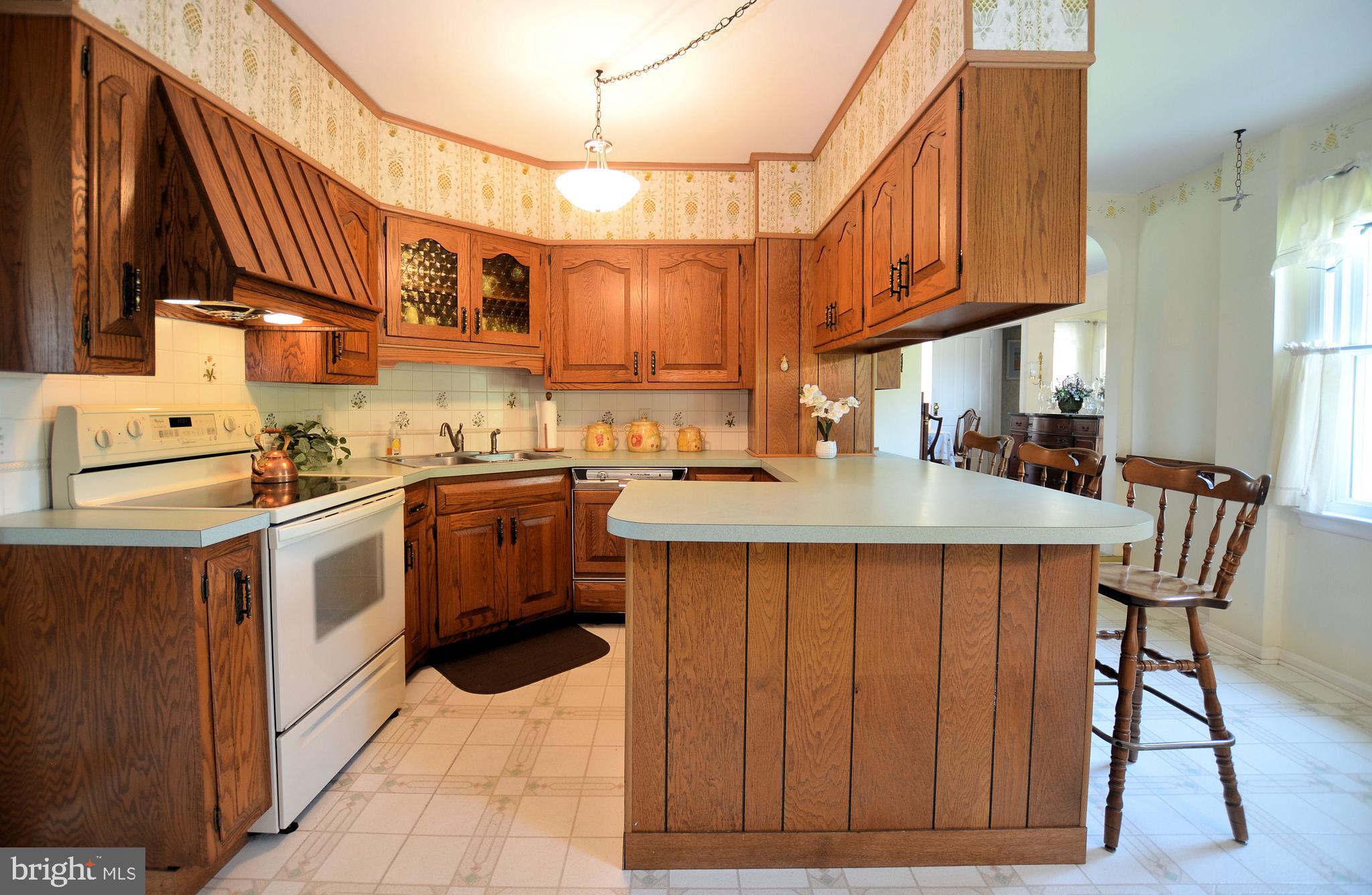 1667 Arthursville Road Hartly, DE 19953 - Photo 11 of 31 kitchen