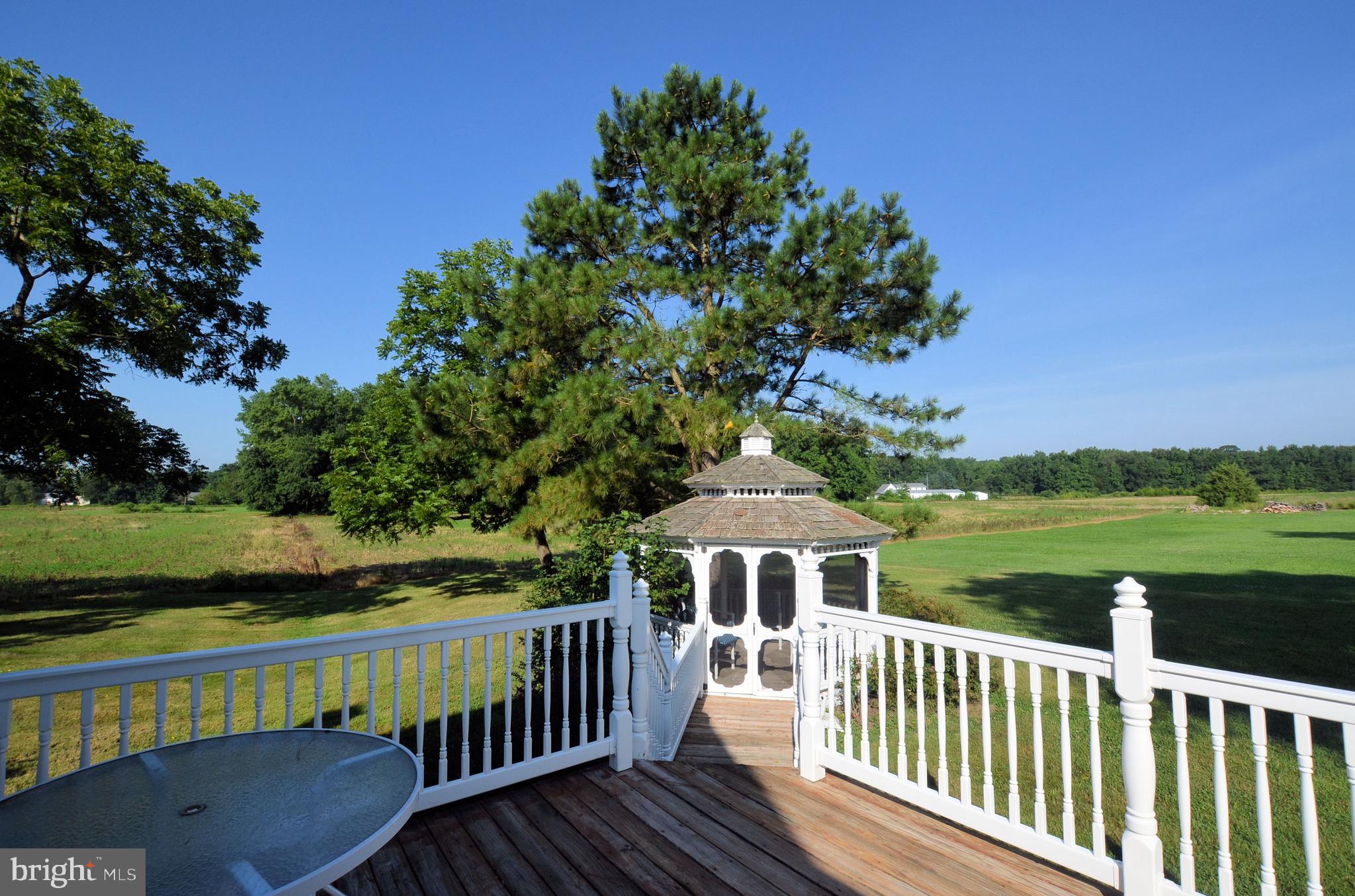 1667 Arthursville Road Hartly, DE 19953 - Photo 3 of 31 rear deck & gazebo