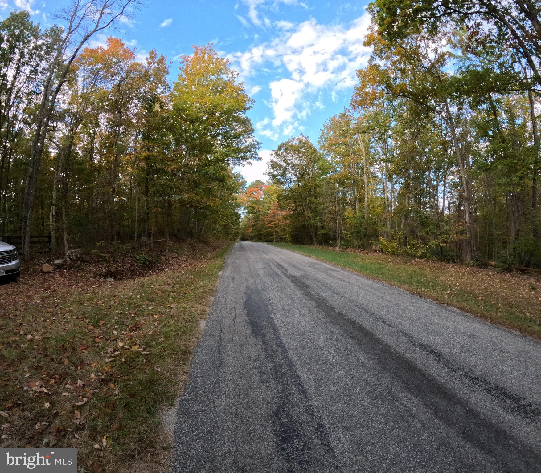 Lot 1 Laurel Road Shipman, VA 22971 - Photo 2 of 10 a view of a yard with a tree