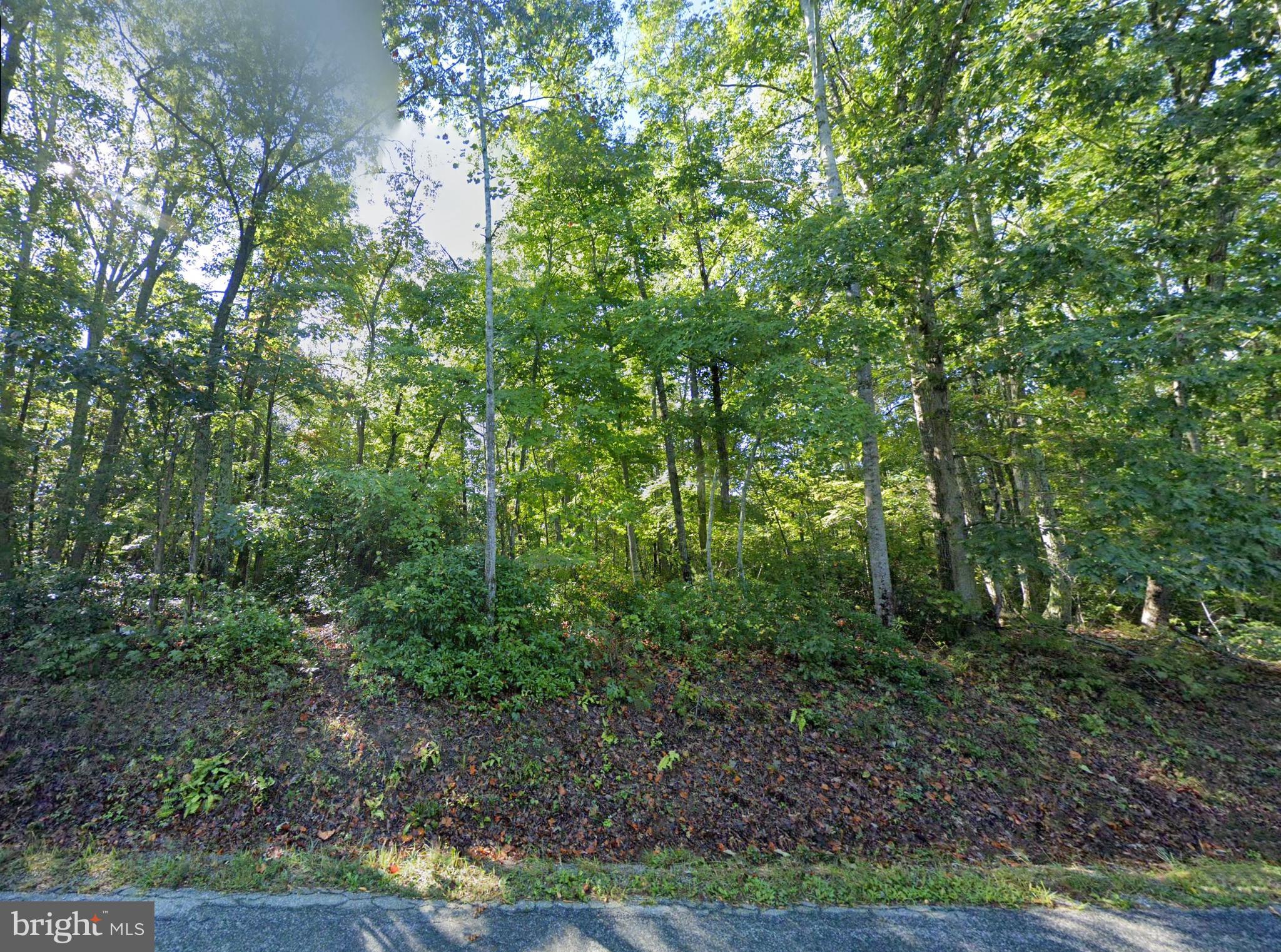 Lot 1 Laurel Road Shipman, VA 22971 - Photo 5 of 10 a view of a forest with trees in the background