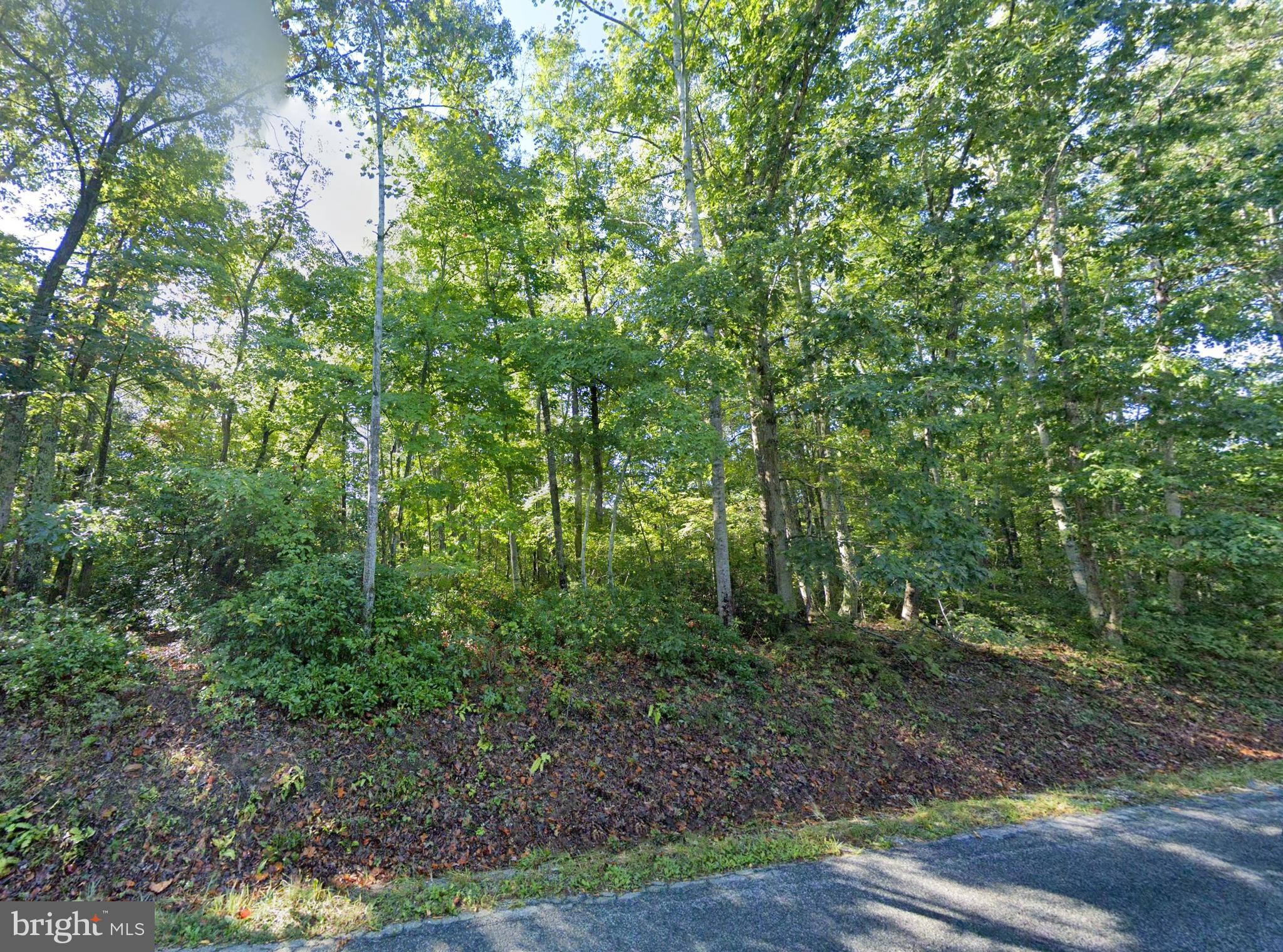 Lot 1 Laurel Road Shipman, VA 22971 - Photo 6 of 10 a view of a forest that has large trees