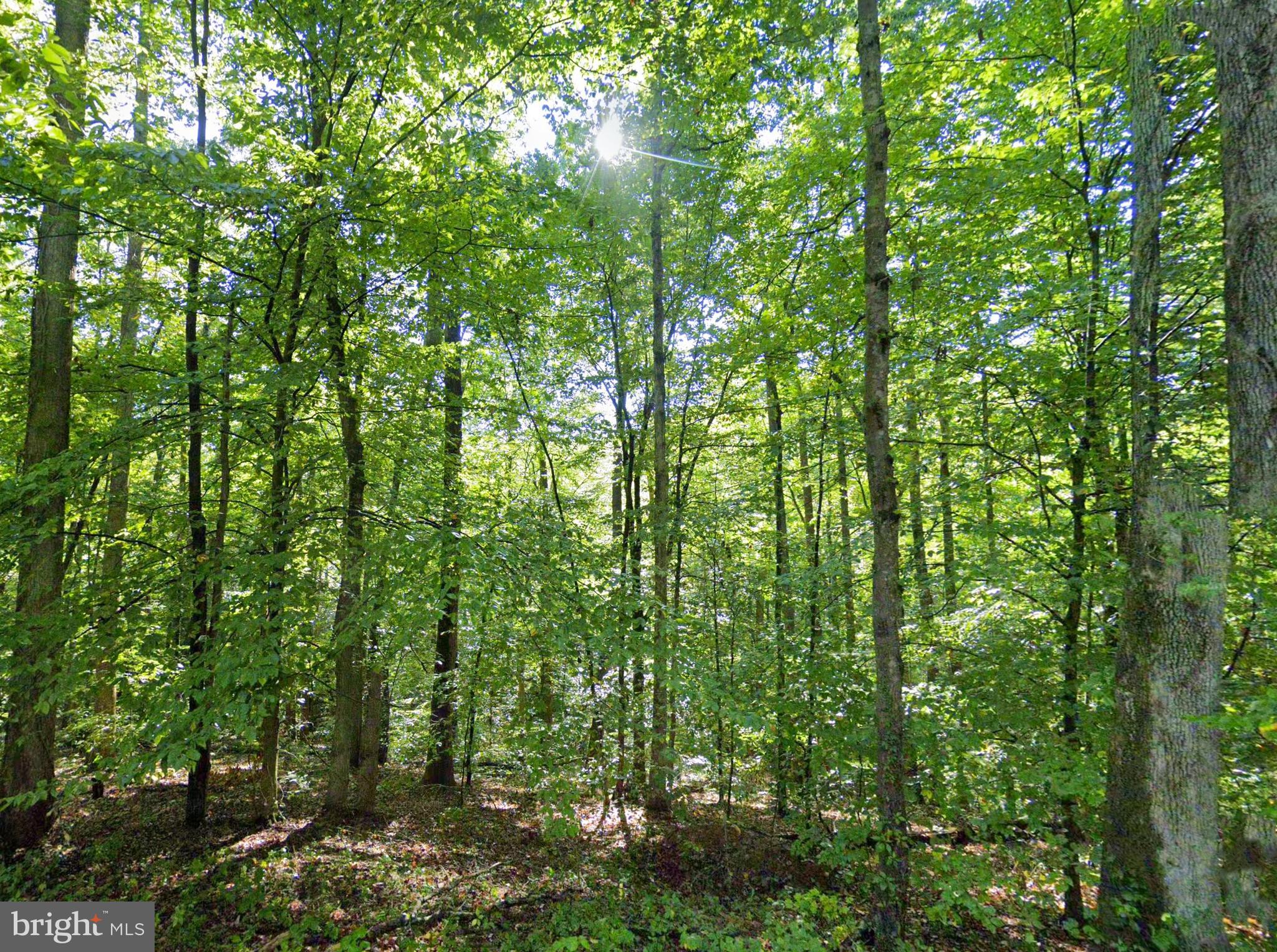 Lot 1 Laurel Road Shipman, VA 22971 - Photo 8 of 10 a view of outdoor space and swimming pool