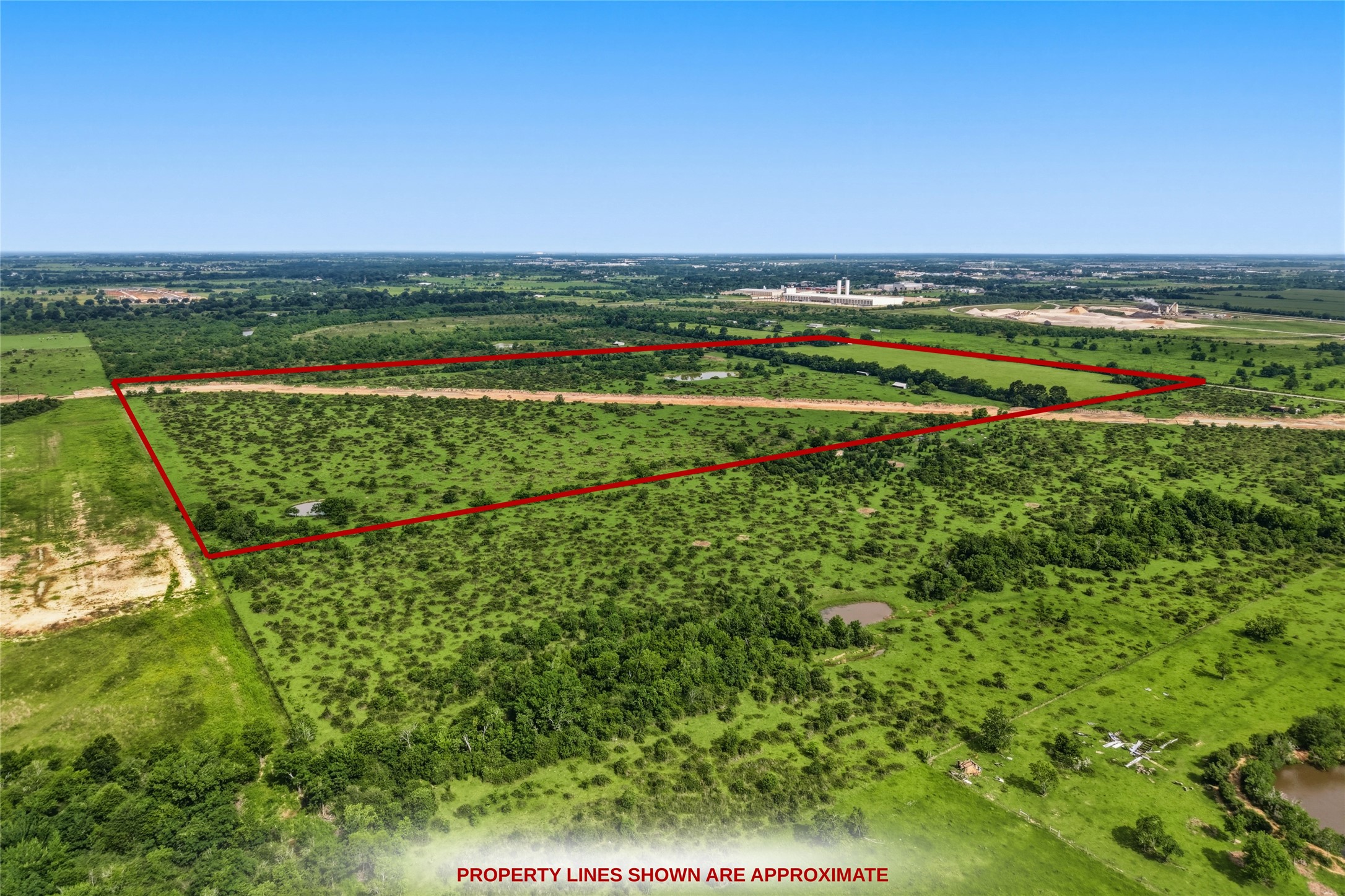 30241 Burton Cemetery Road Waller, TX 77484 - Photo 5 of 22