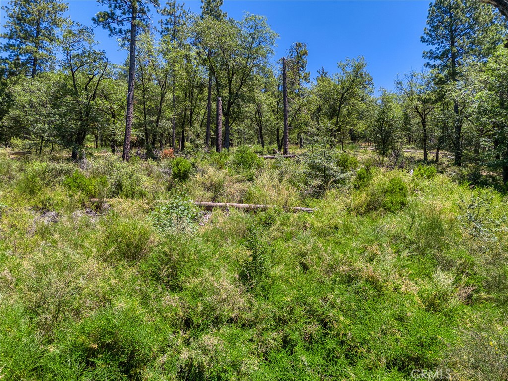 12548 Observation Road Middletown, CA 95461 - Photo 11 of 19