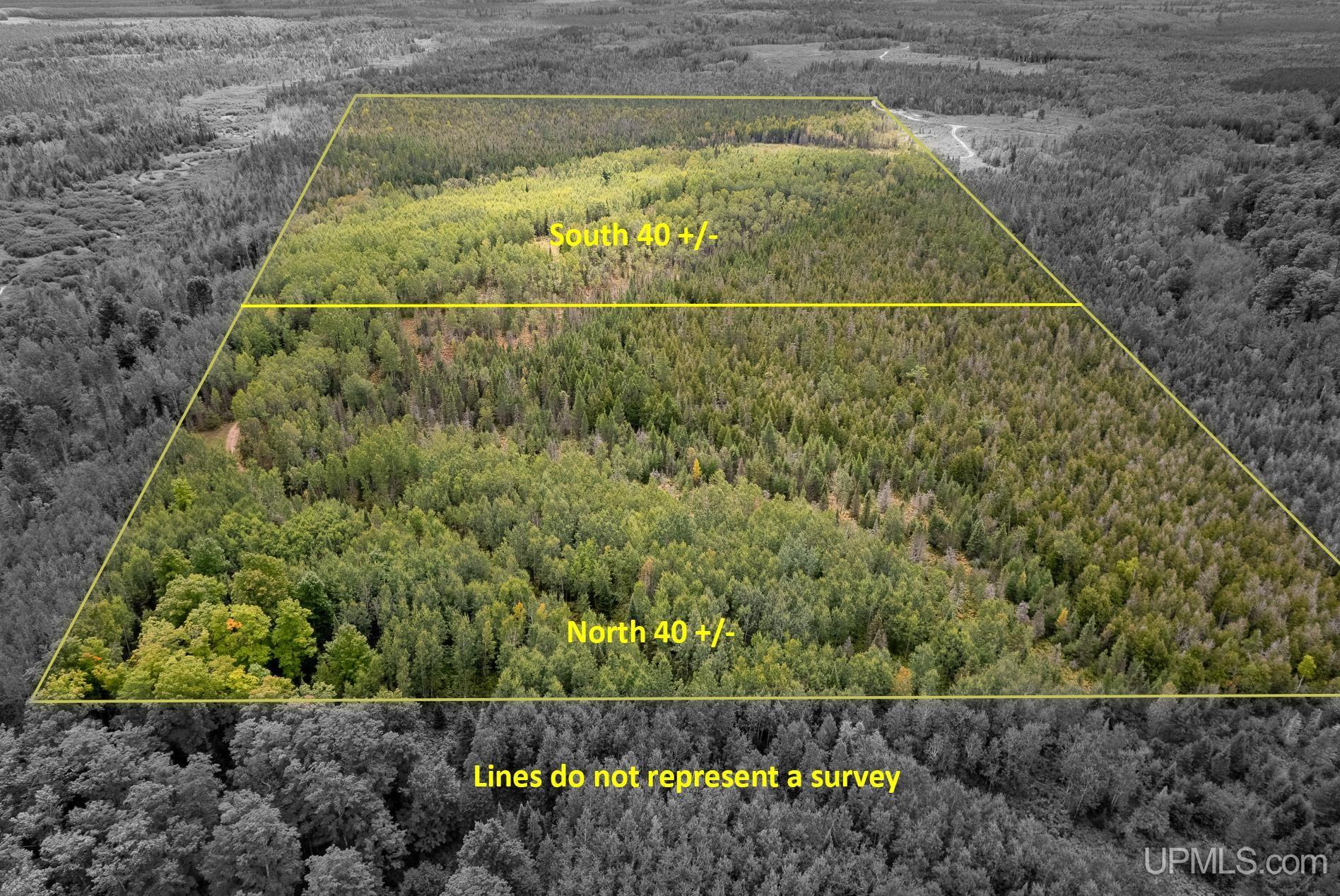 Tbd Off River Road North 40 Road Perronville, MI 49873 - Photo 12 of 12