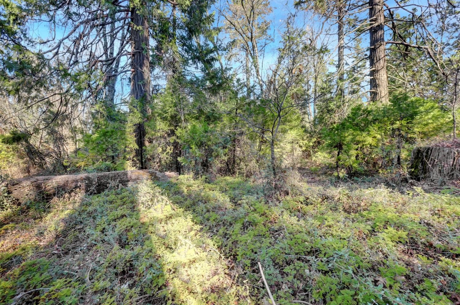 0 Cedar Ridge Drive Grass Valley, CA 95945 - Photo 29 of 40
