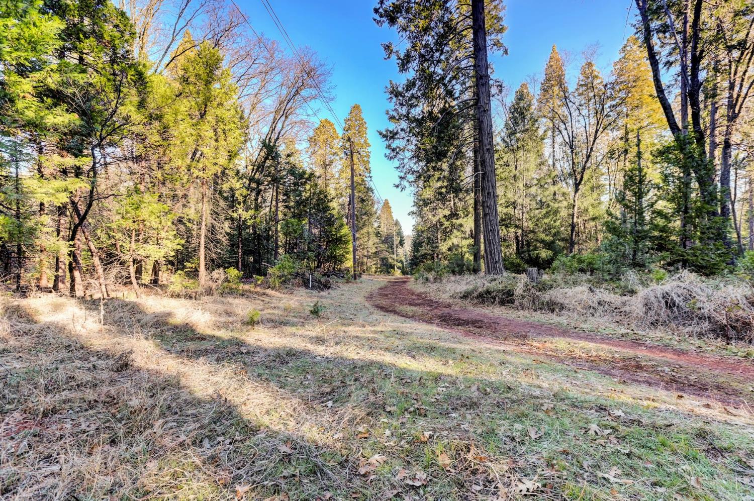 0 Cedar Ridge Drive Grass Valley, CA 95945 - Photo 36 of 40