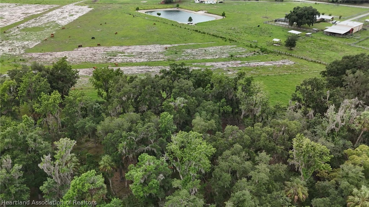 Griffin Road Wauchula, FL 33873 - Photo 14 of 17 an aerial view of a residential houses with outdoor space and trees all around